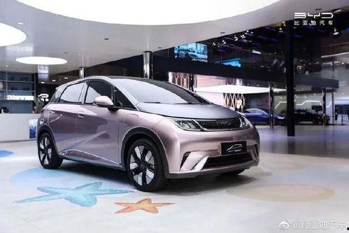 比亚迪技术爆料案例最新,引领绿色出行新篇章