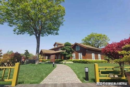 南部同城爆料最新消息查询,最新动态速览，热点事件一网打尽