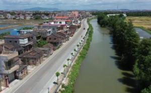 新会区大鳌镇爆料事件最新