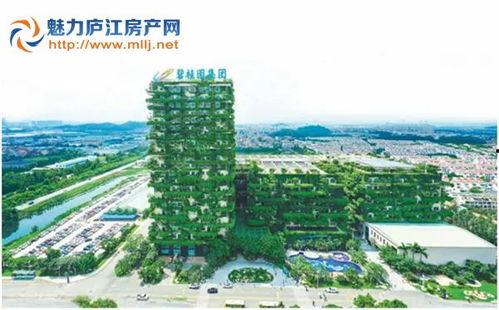 庐江碧桂园爆料最新消息,揭秘项目进展与亮点