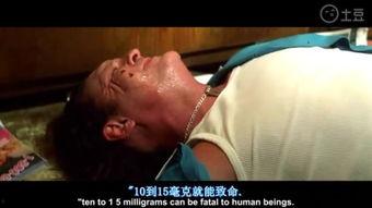 在线观看毒蛇,揭秘神秘蛇类世界的惊险之旅