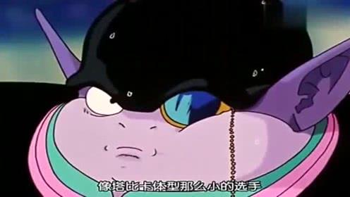 吃瓜娱乐的喵,喵星人的吃瓜娱乐大揭秘